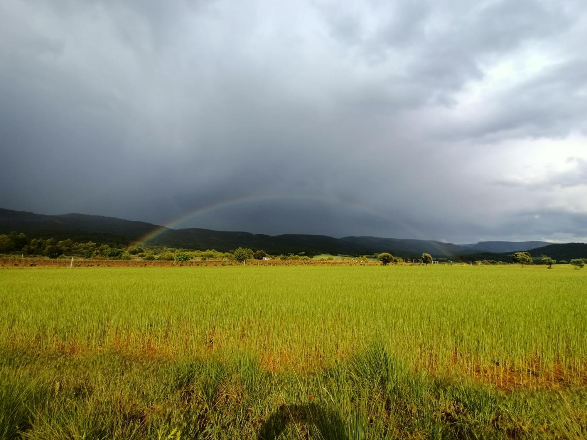 Alojamiento Rural El Cerro Fresneda de la Sierra Ngoại thất bức ảnh