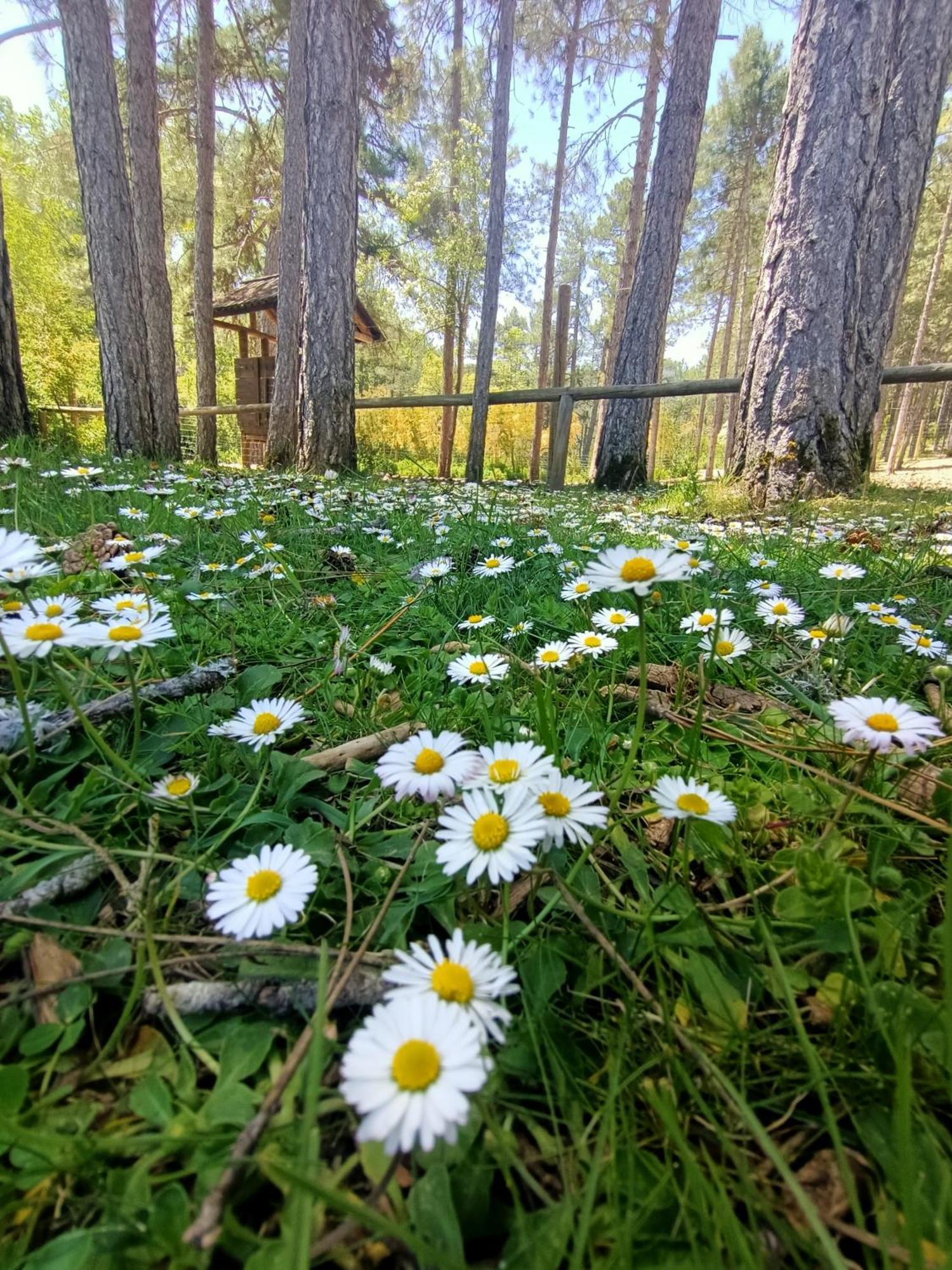Alojamiento Rural El Cerro Fresneda de la Sierra Ngoại thất bức ảnh